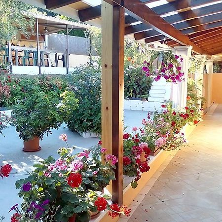 Marika Garden Studios Мораитика Екстериор снимка